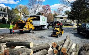 Best Hazardous Tree Removal  in De Pue, IL